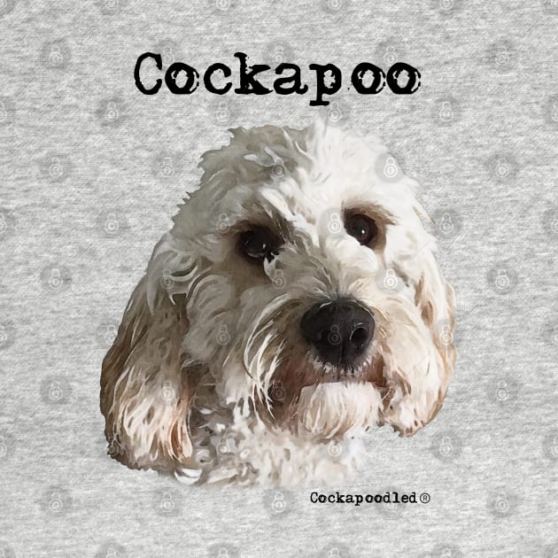 Champagne Blonde Cockapoo / Spoodle and Doodle Dog by WoofnDoodle 